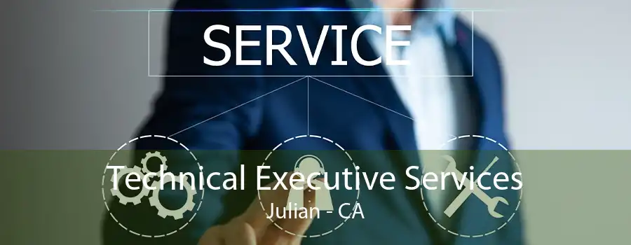 Technical Executive Services Julian - CA