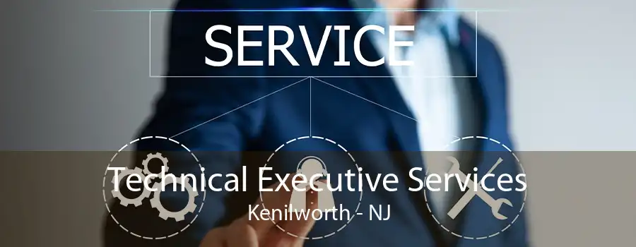 Technical Executive Services Kenilworth - NJ