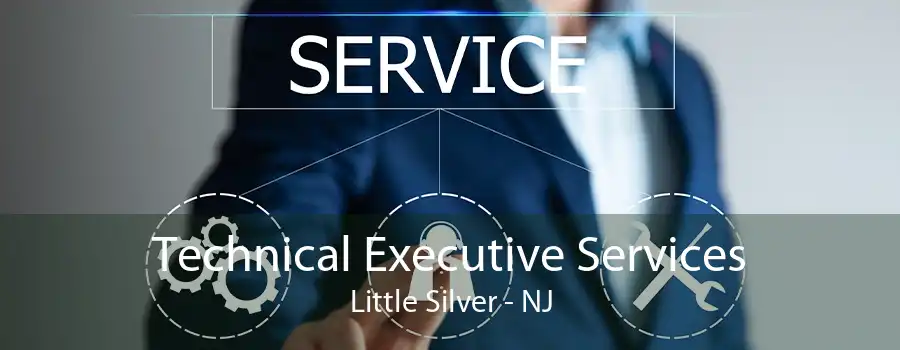 Technical Executive Services Little Silver - NJ