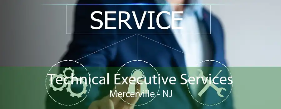 Technical Executive Services Mercerville - NJ