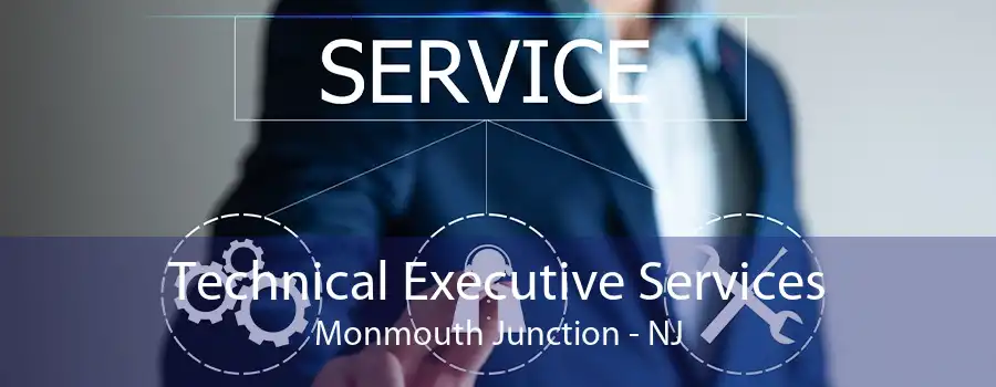 Technical Executive Services Monmouth Junction - NJ