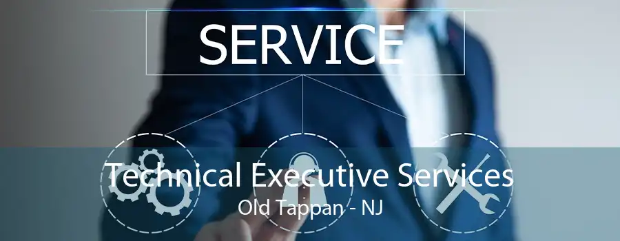 Technical Executive Services Old Tappan - NJ