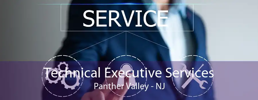 Technical Executive Services Panther Valley - NJ