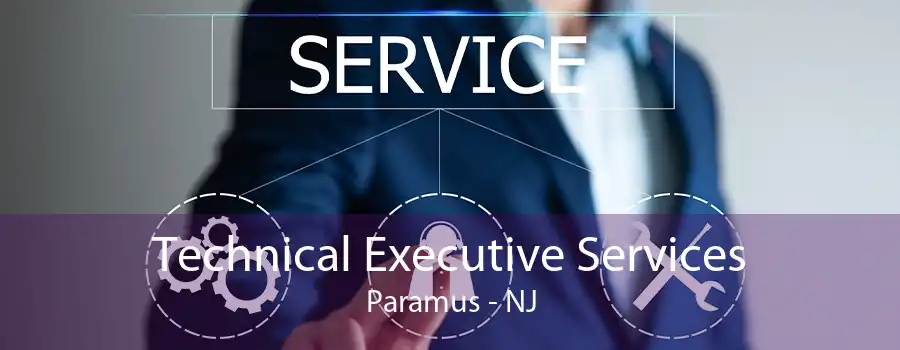 Technical Executive Services Paramus - NJ