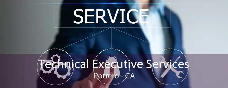 Technical Executive Services Potrero - CA