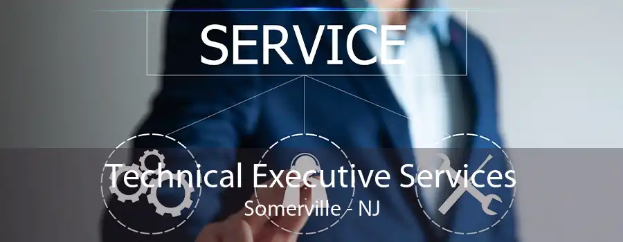 Technical Executive Services Somerville - NJ