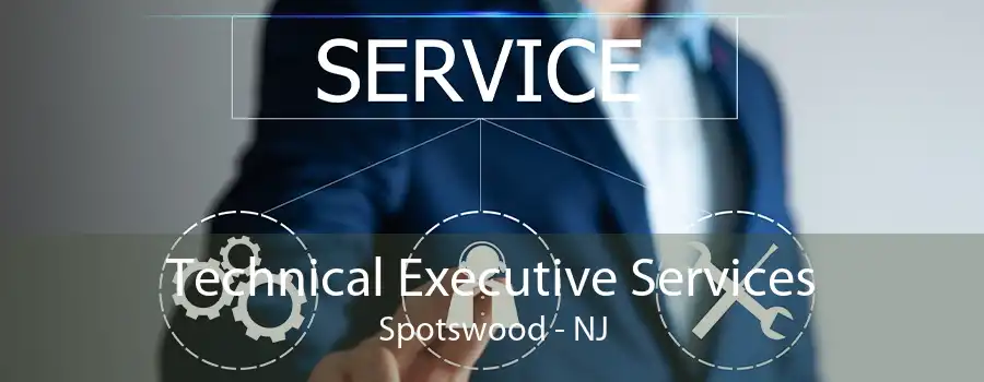 Technical Executive Services Spotswood - NJ