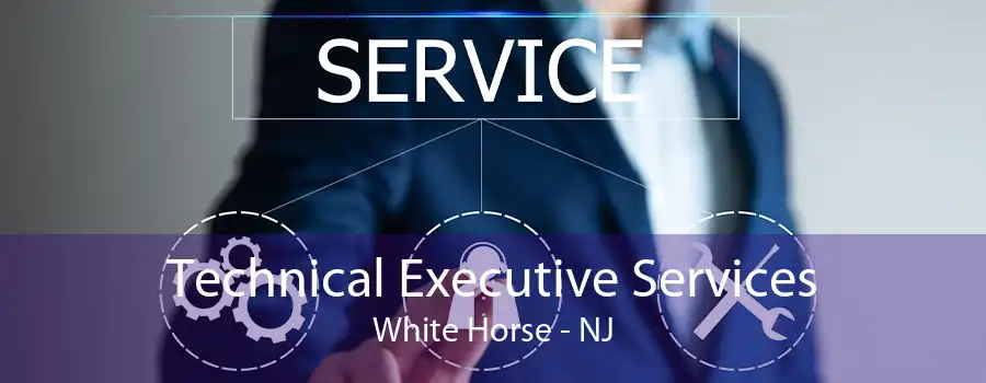 Technical Executive Services White Horse - NJ