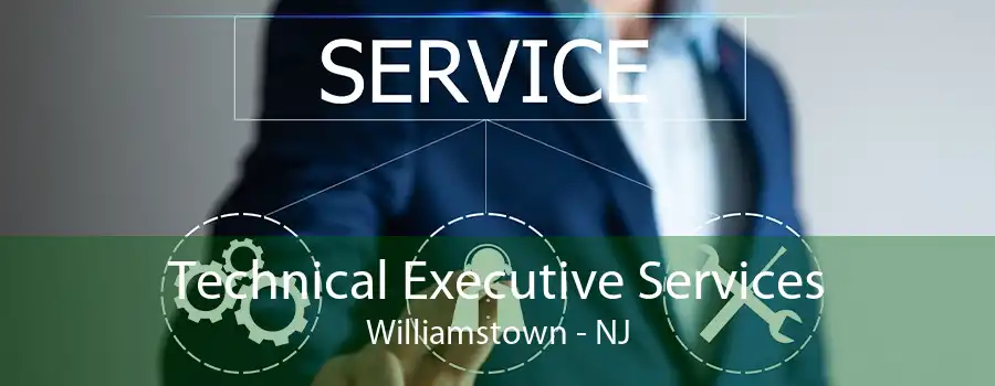 Technical Executive Services Williamstown - NJ