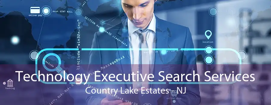 Technology Executive Search Services Country Lake Estates - NJ