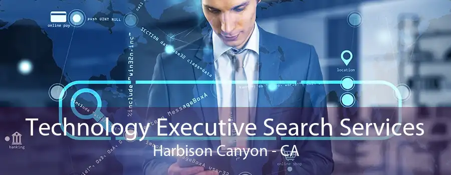 Technology Executive Search Services Harbison Canyon - CA