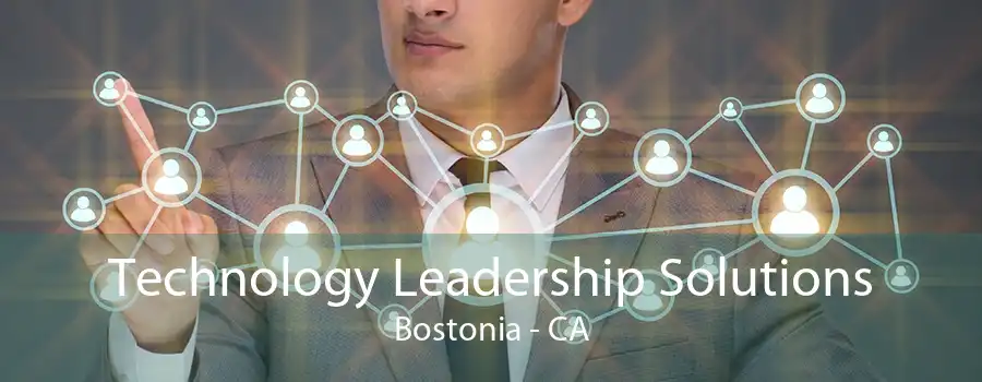 Technology Leadership Solutions Bostonia - CA