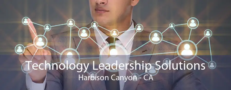 Technology Leadership Solutions Harbison Canyon - CA