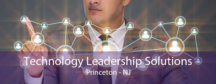 Technology Leadership Solutions Princeton - NJ