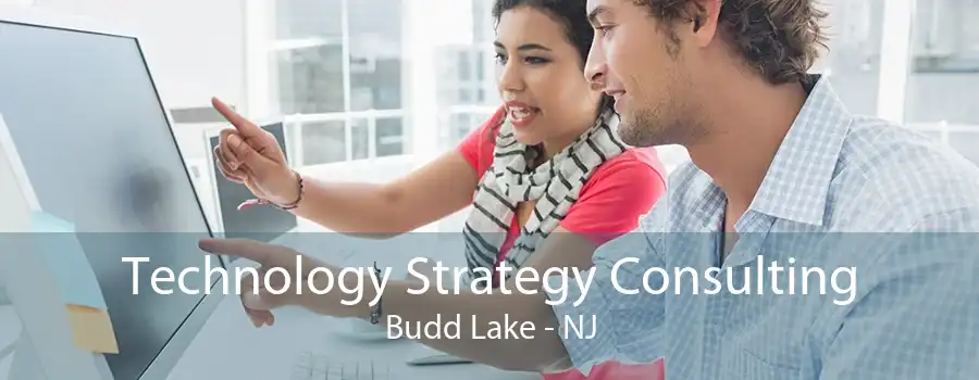 Technology Strategy Consulting Budd Lake - NJ