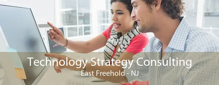 Technology Strategy Consulting East Freehold - NJ