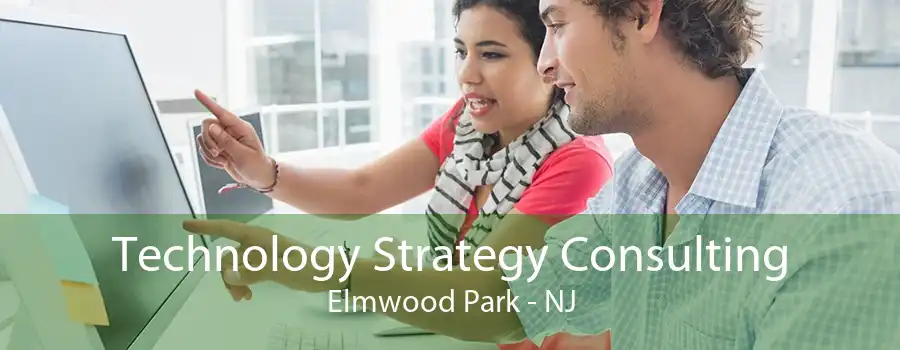 Technology Strategy Consulting Elmwood Park - NJ