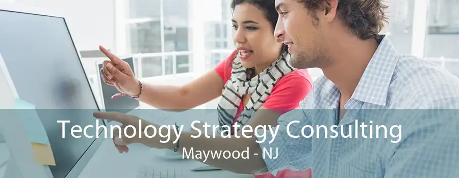 Technology Strategy Consulting Maywood - NJ