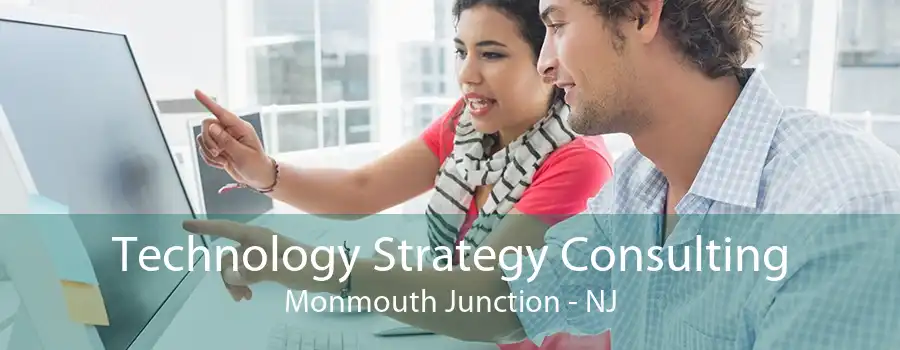 Technology Strategy Consulting Monmouth Junction - NJ