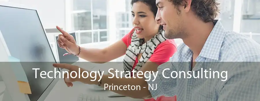 Technology Strategy Consulting Princeton - NJ