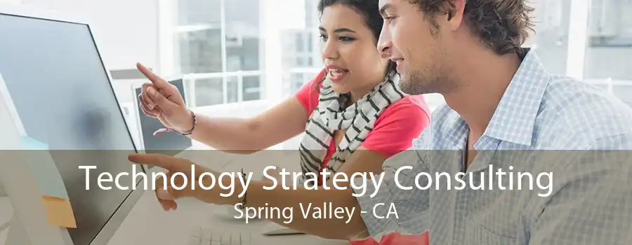 Technology Strategy Consulting Spring Valley - CA