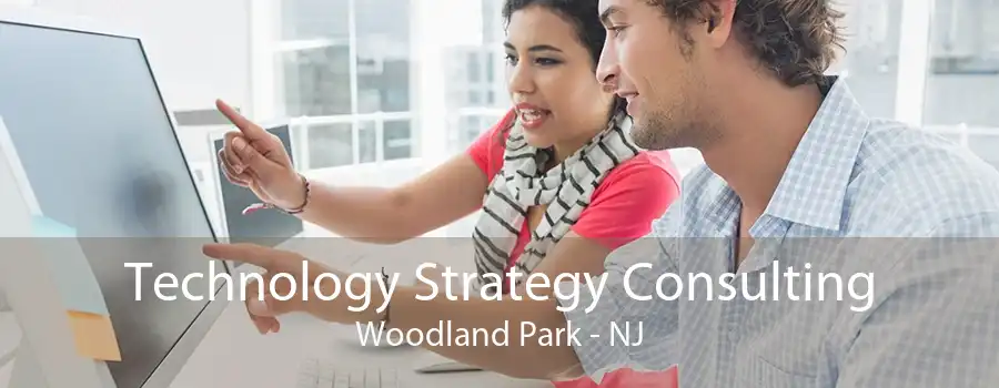 Technology Strategy Consulting Woodland Park - NJ