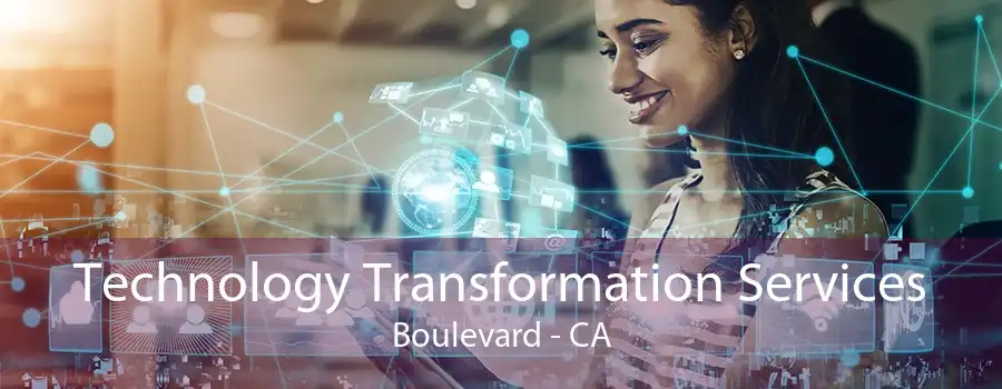 Technology Transformation Services Boulevard - CA