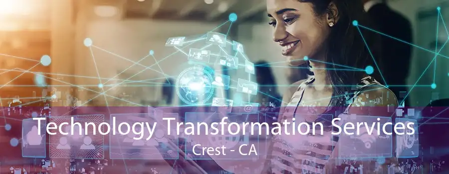 Technology Transformation Services Crest - CA