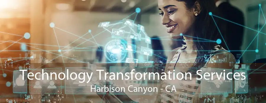 Technology Transformation Services Harbison Canyon - CA