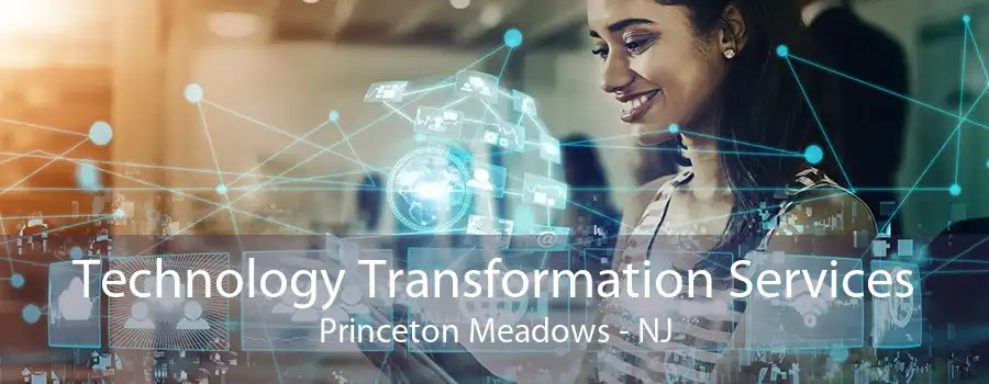 Technology Transformation Services Princeton Meadows - NJ