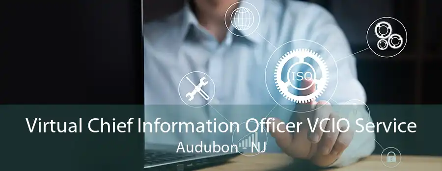 Virtual Chief Information Officer VCIO Service Audubon - NJ