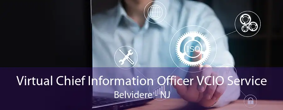 Virtual Chief Information Officer VCIO Service Belvidere - NJ