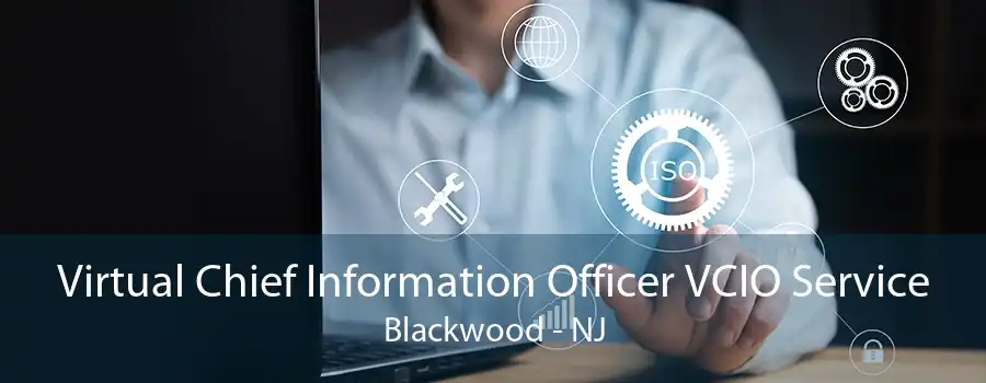 Virtual Chief Information Officer VCIO Service Blackwood - NJ