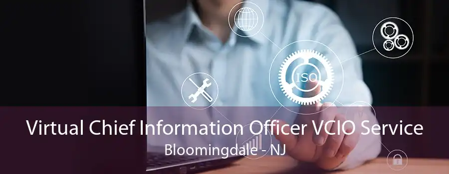 Virtual Chief Information Officer VCIO Service Bloomingdale - NJ