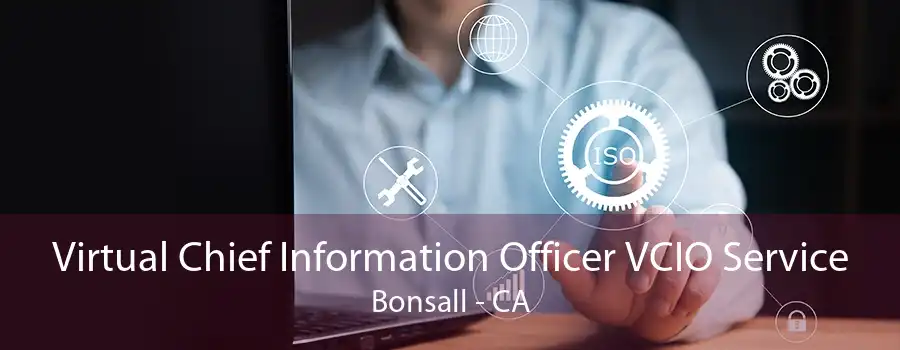 Virtual Chief Information Officer VCIO Service Bonsall - CA