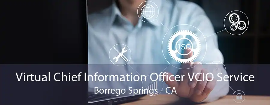 Virtual Chief Information Officer VCIO Service Borrego Springs - CA