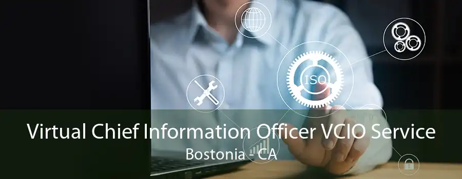 Virtual Chief Information Officer VCIO Service Bostonia - CA