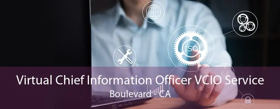 Virtual Chief Information Officer VCIO Service Boulevard - CA