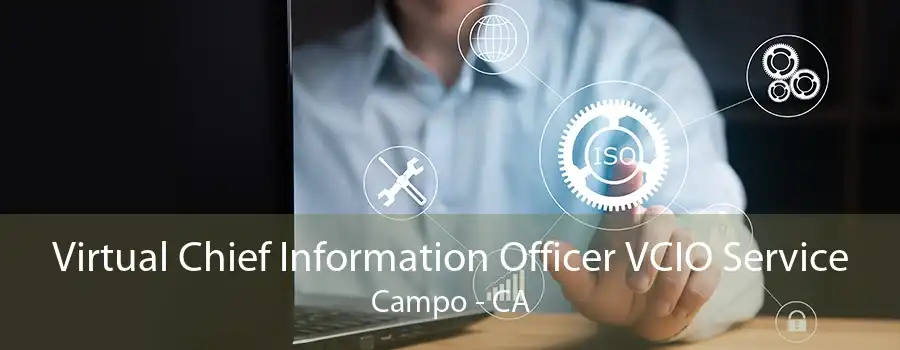 Virtual Chief Information Officer VCIO Service Campo - CA