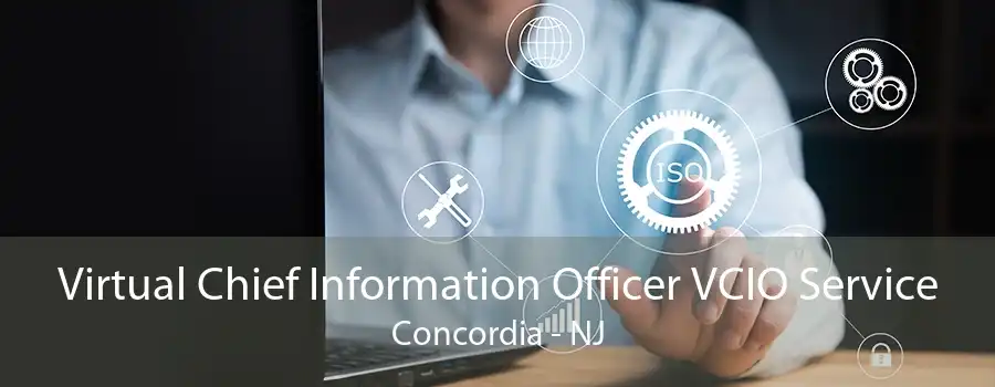 Virtual Chief Information Officer VCIO Service Concordia - NJ