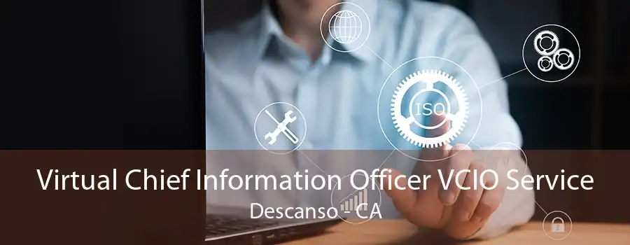 Virtual Chief Information Officer VCIO Service Descanso - CA