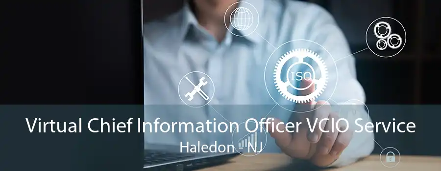 Virtual Chief Information Officer VCIO Service Haledon - NJ