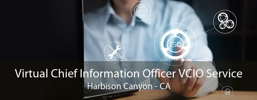 Virtual Chief Information Officer VCIO Service Harbison Canyon - CA