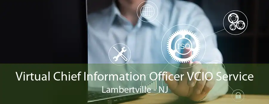 Virtual Chief Information Officer VCIO Service Lambertville - NJ