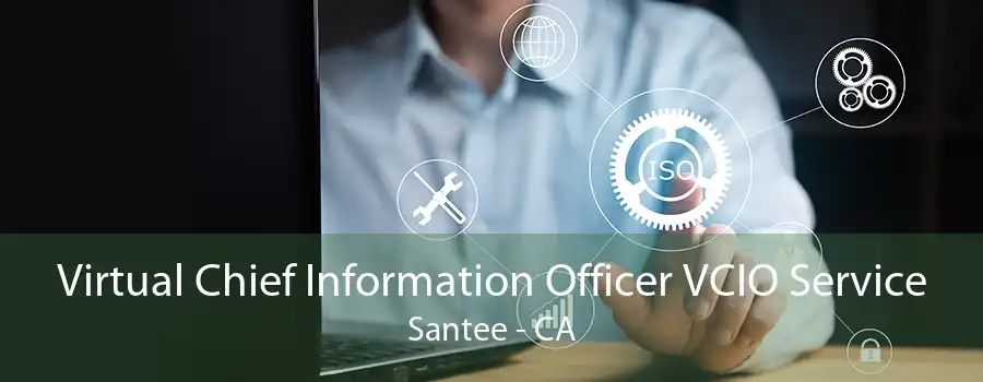 Virtual Chief Information Officer VCIO Service Santee - CA