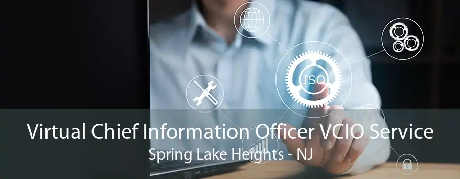 Virtual Chief Information Officer VCIO Service Spring Lake Heights - NJ