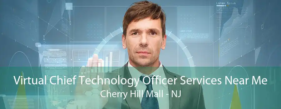 Virtual Chief Technology Officer Services Near Me Cherry Hill Mall - NJ