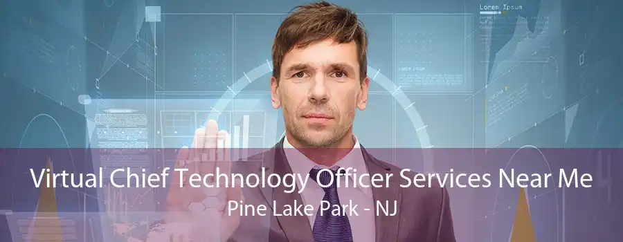 Virtual Chief Technology Officer Services Near Me Pine Lake Park - NJ