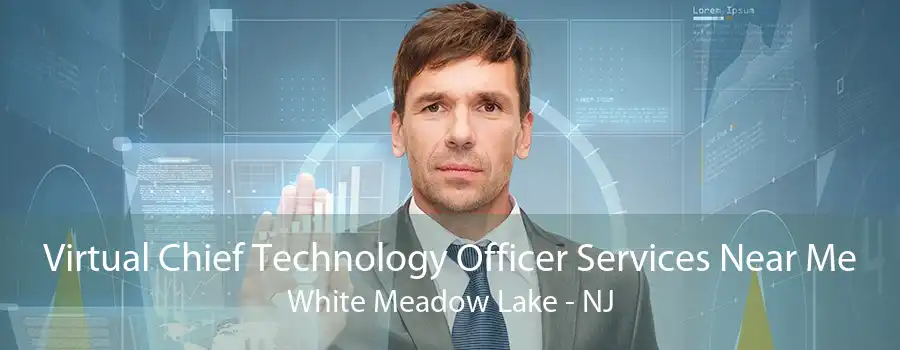 Virtual Chief Technology Officer Services Near Me White Meadow Lake - NJ