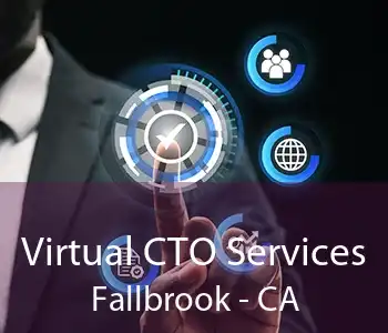 Virtual CTO Services Fallbrook - CA